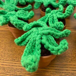 🪴 Handmade Crochet Amigurumi Succulent Plant Baby in Mini Terracotta Pot 🪴